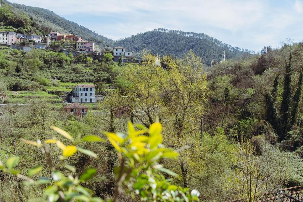 Residenza Nemus Mare E Montagna Leilighet Graveglia Eksteriør bilde